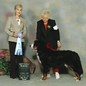Best of Breed